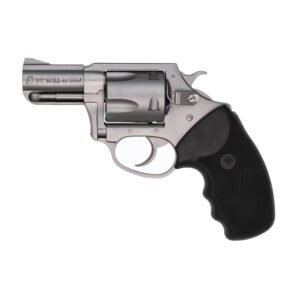 Charter Arms Pitbull