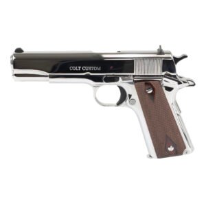 Colt’s Manufacturing Government