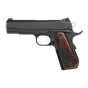 Dan Wesson Guardian
