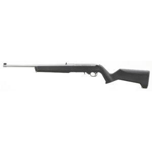 Ruger 10/22