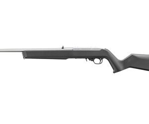 Ruger 10/22