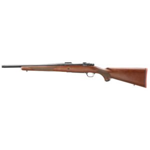 Ruger Hawkeye Hunter