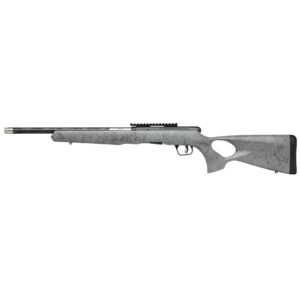 Savage Arms B22
