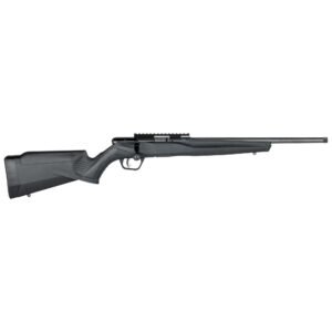 Savage Arms B17