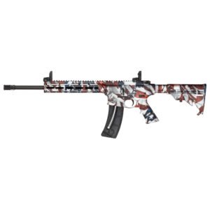 Smith & Wesson M&P15-22