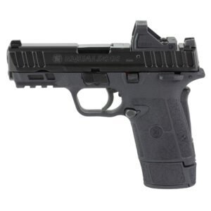 Smith & Wesson Equalizer